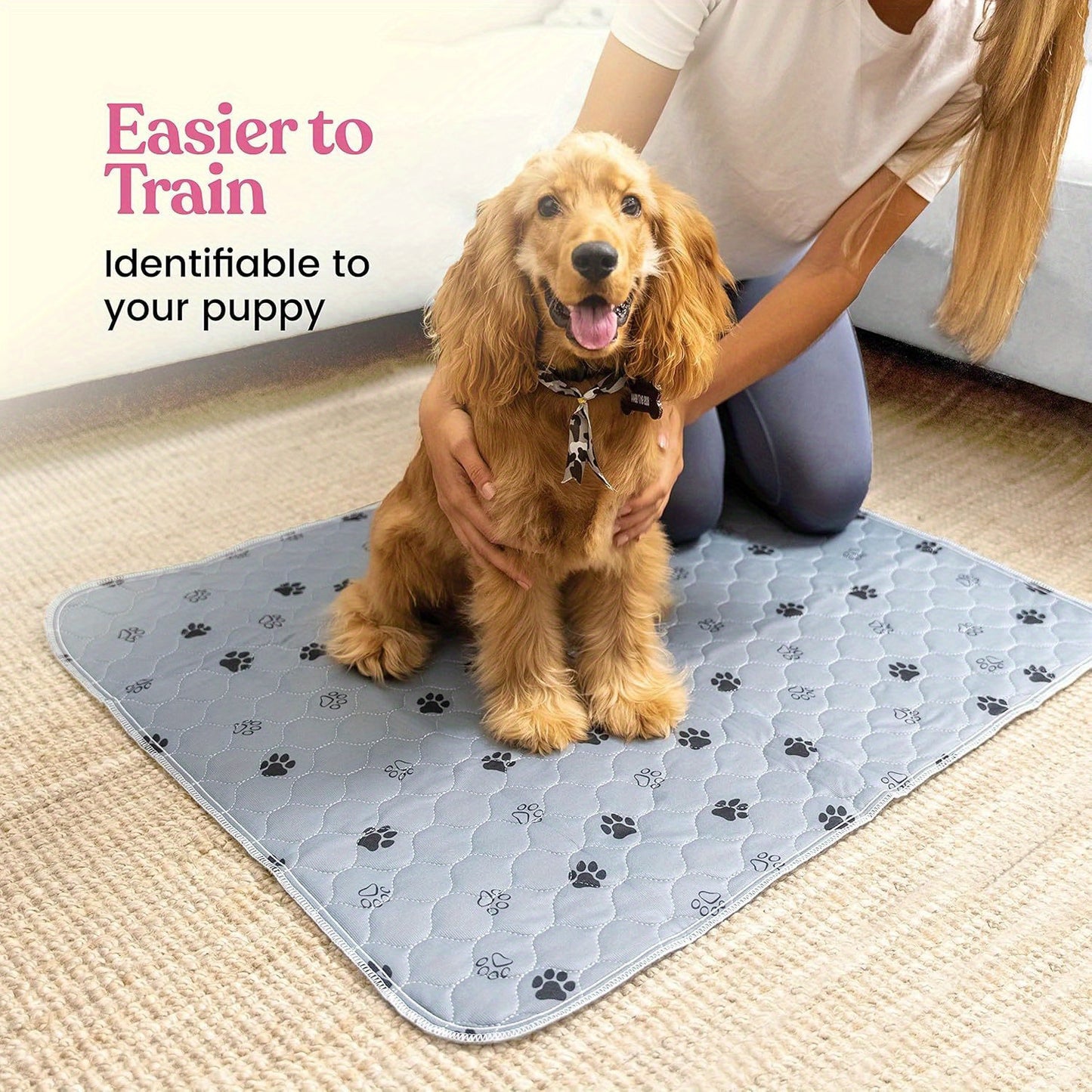Absorbent Pads for Training