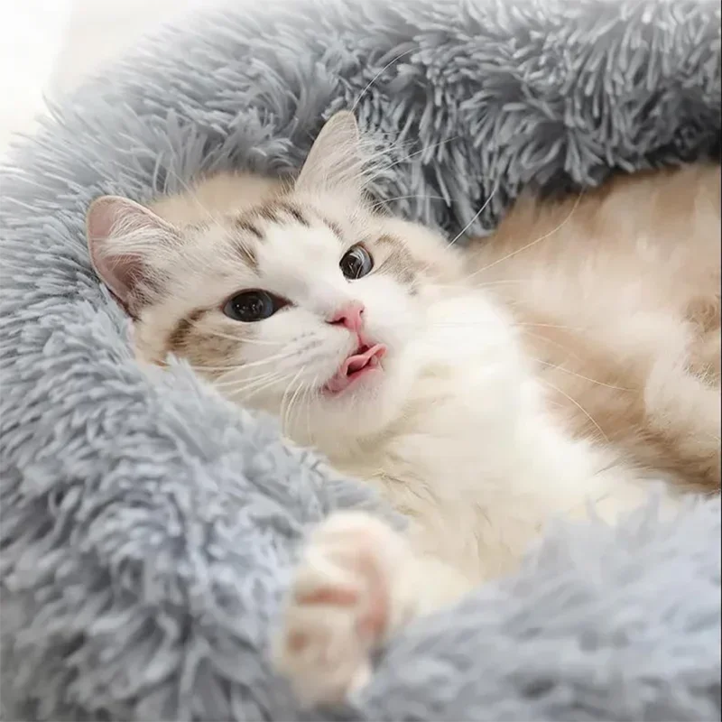 Donut Bed For Your Furries