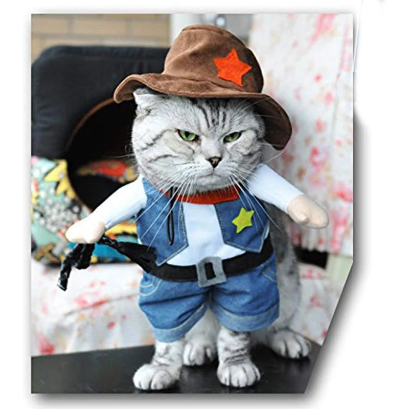 Cowboy Costume