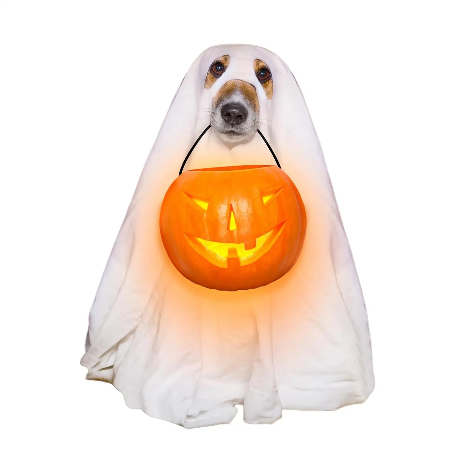 Ghost Costume