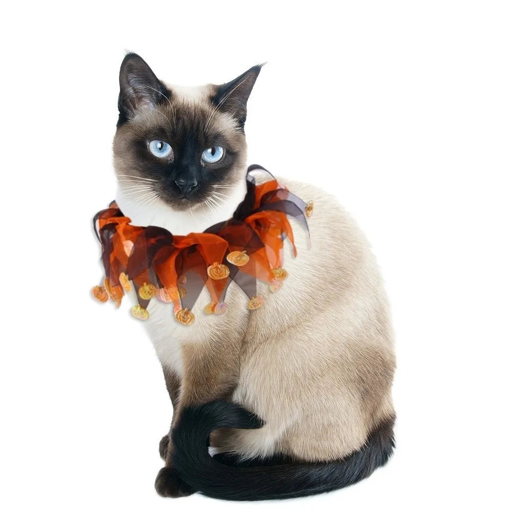 Dog Pumpkin Halloween Costume