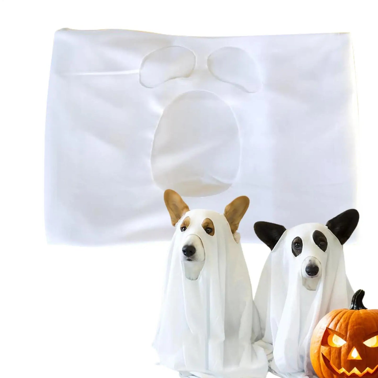 Ghost Costume