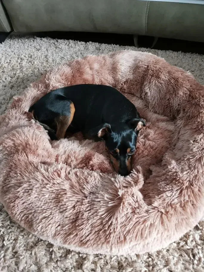Donut Bed For Your Furries