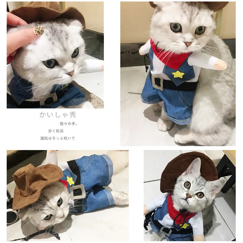 Cowboy Costume