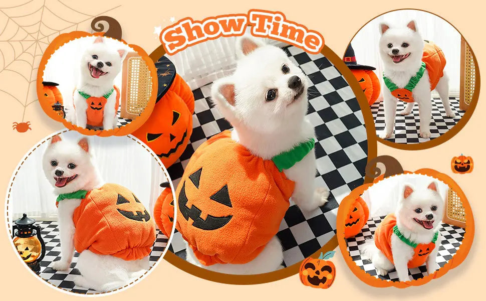 Big Pumpkin Costume