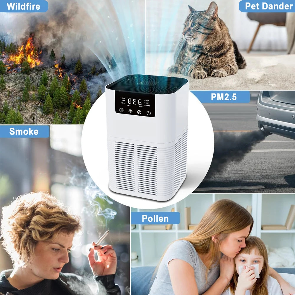 Air Purifier for Pets