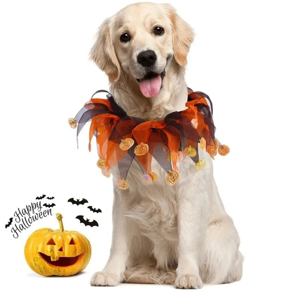 Cute Pumpkin Halloween Cat Costume