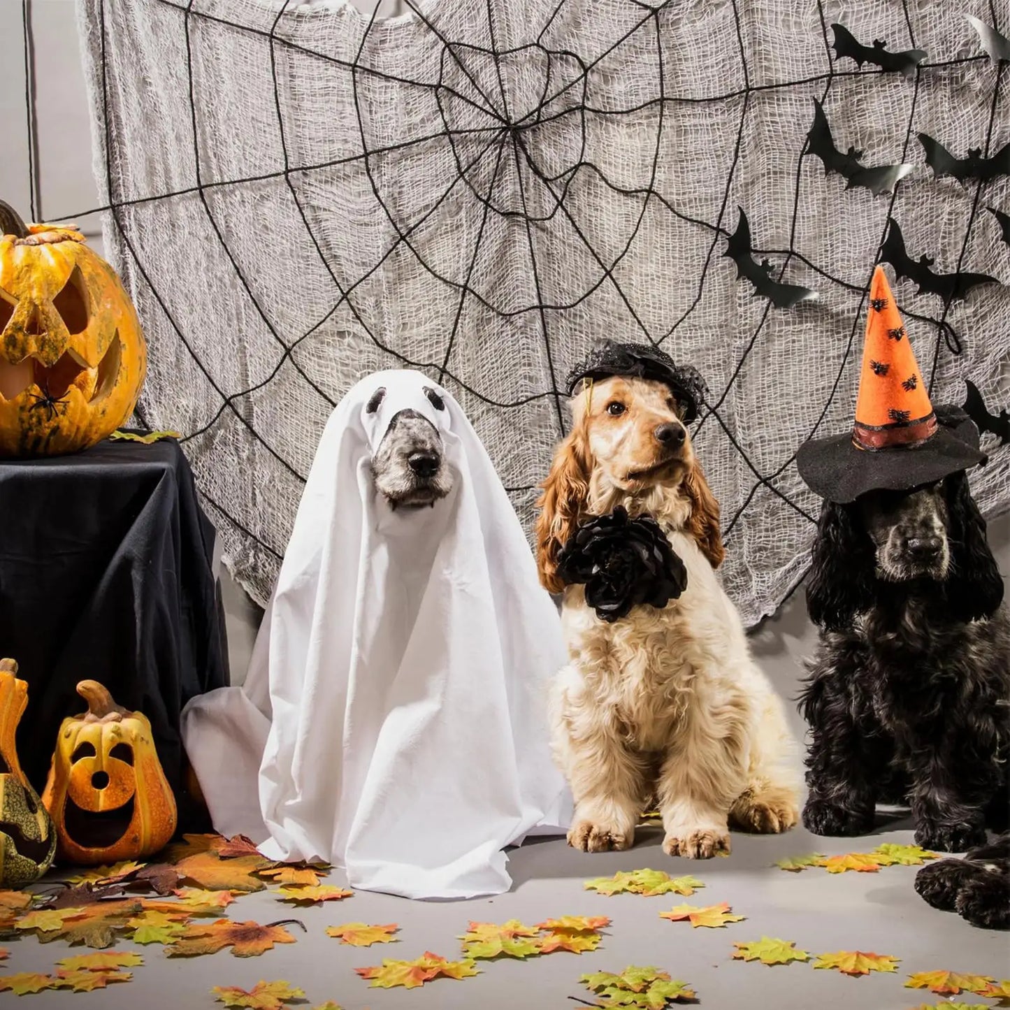 Ghost Costume