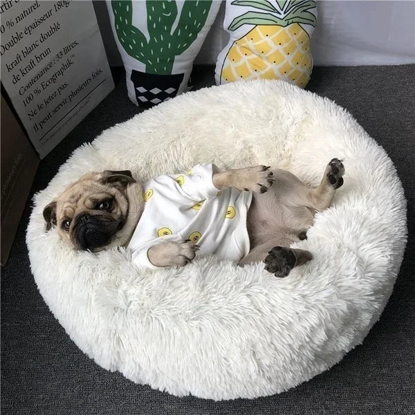 Donut Bed For Your Furries