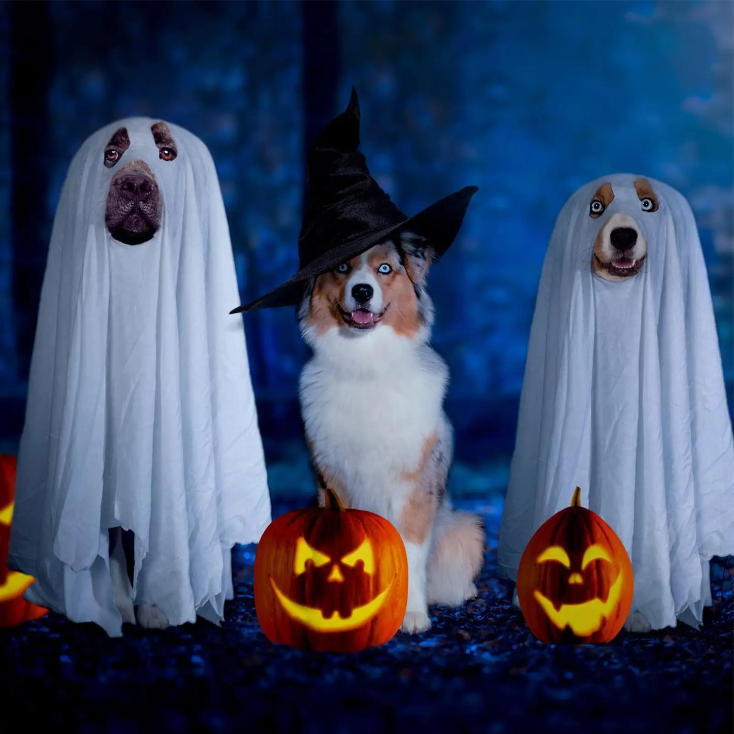 Ghost Costume