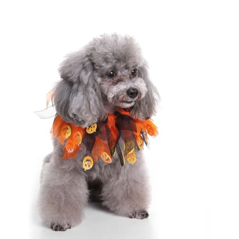 Dog Pumpkin Halloween Costume