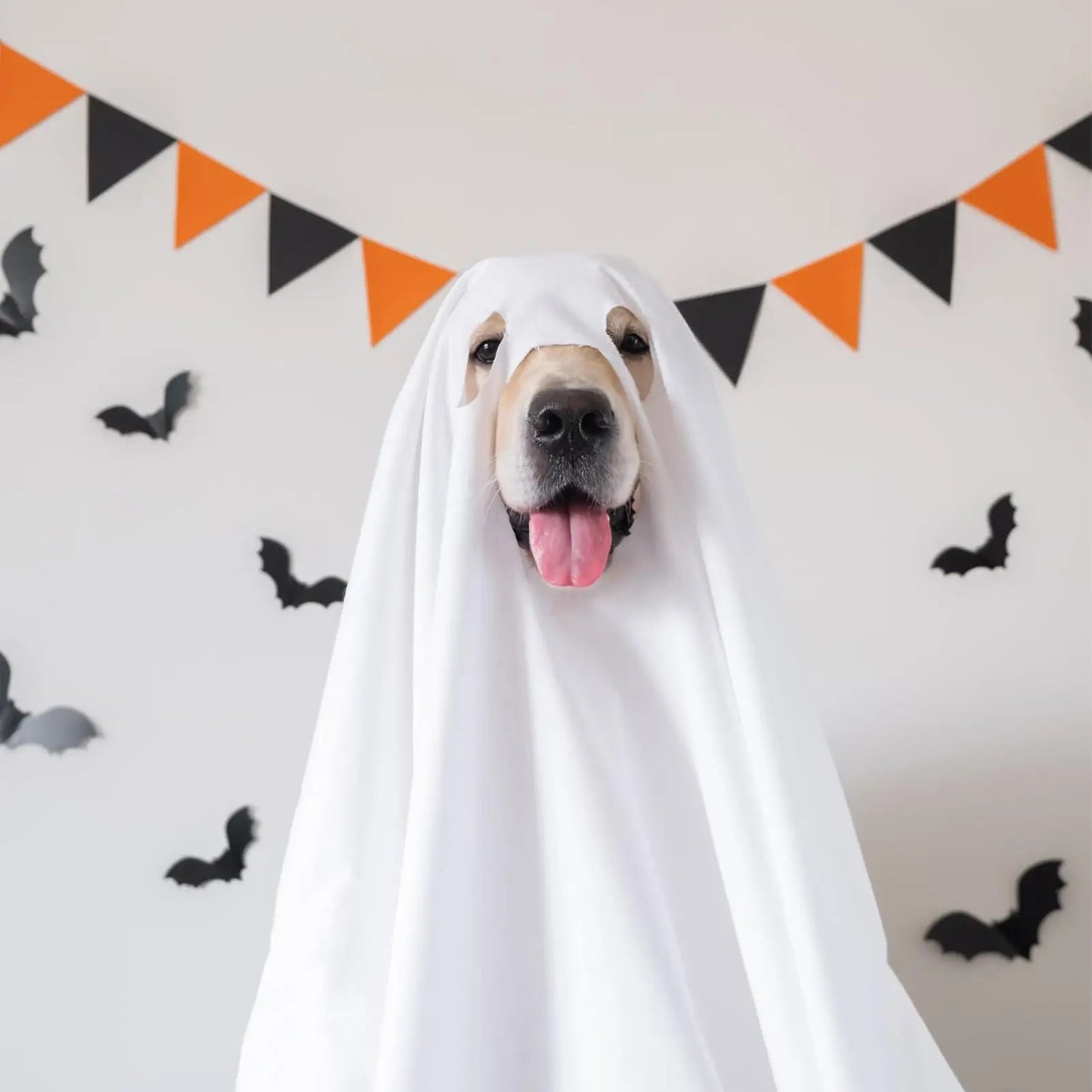 Ghost Costume