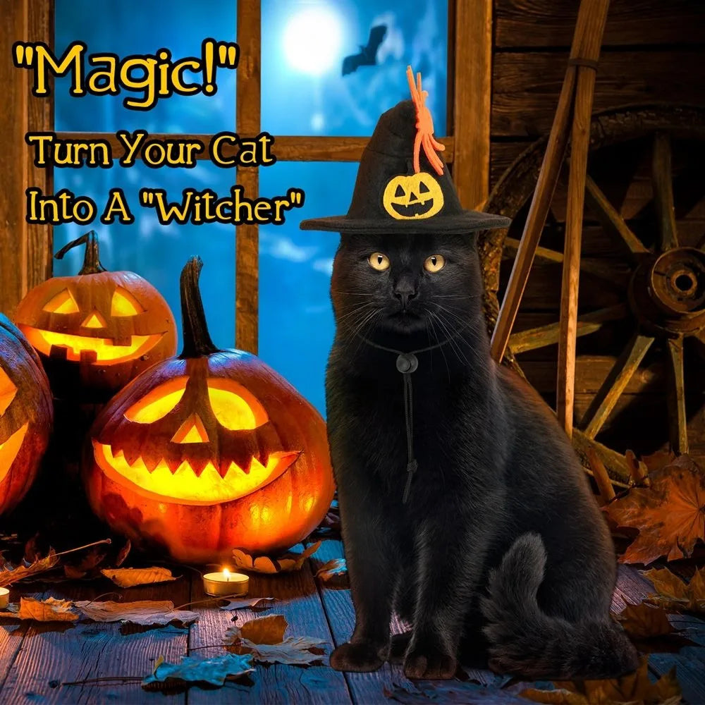 Cute Pumpkin Halloween Cat Costume