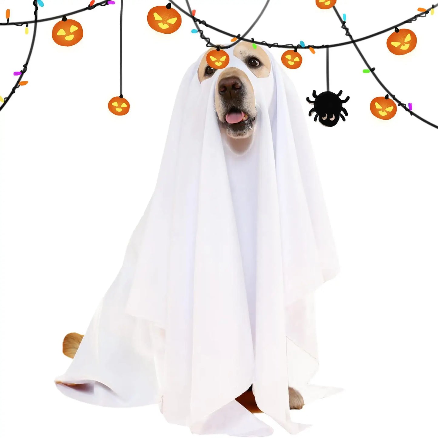 Ghost Costume