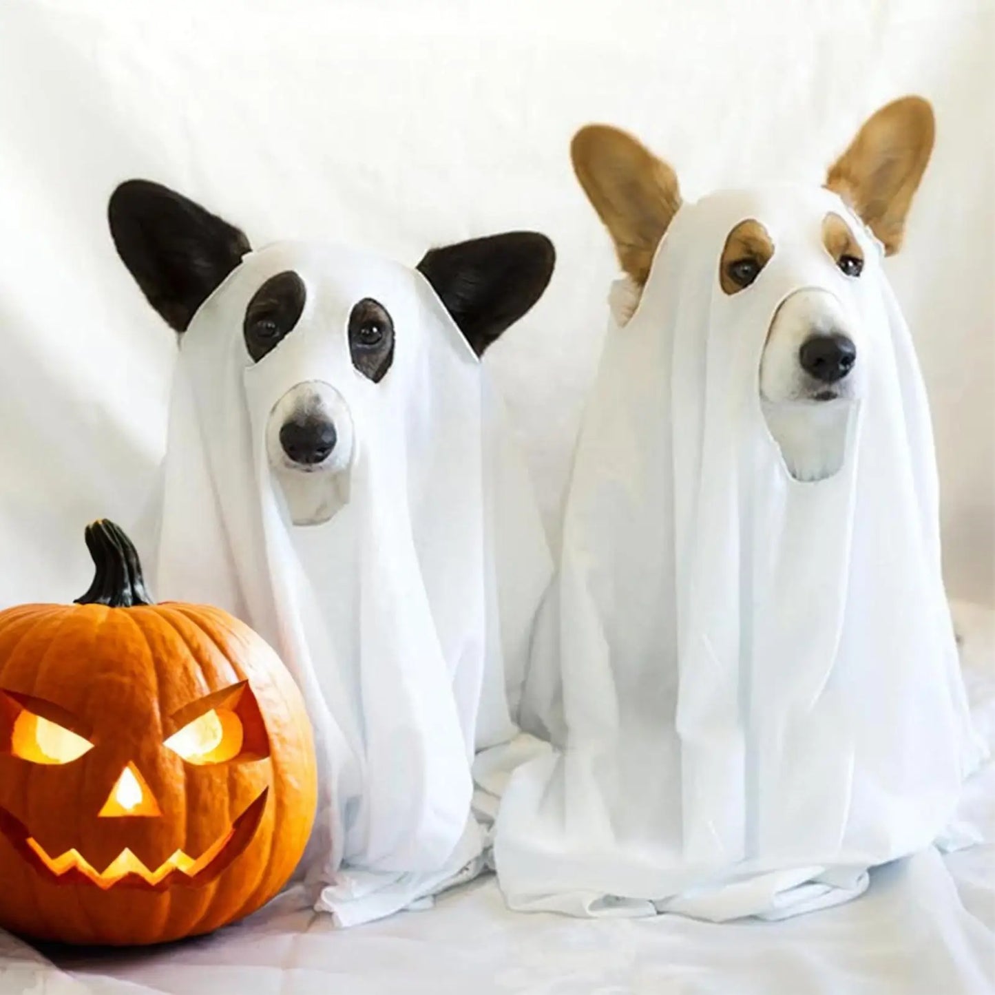Ghost Costume