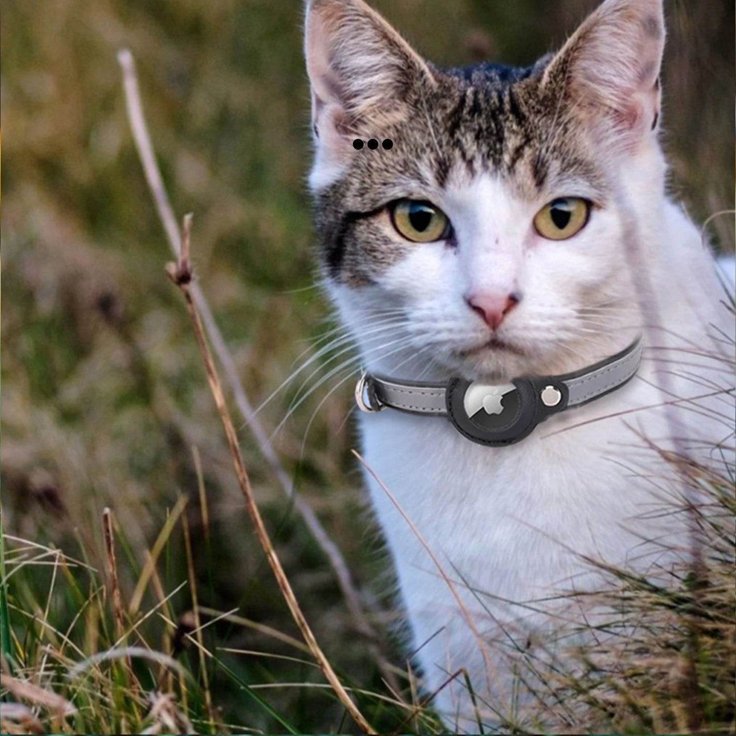 Airtag Collar for Cats