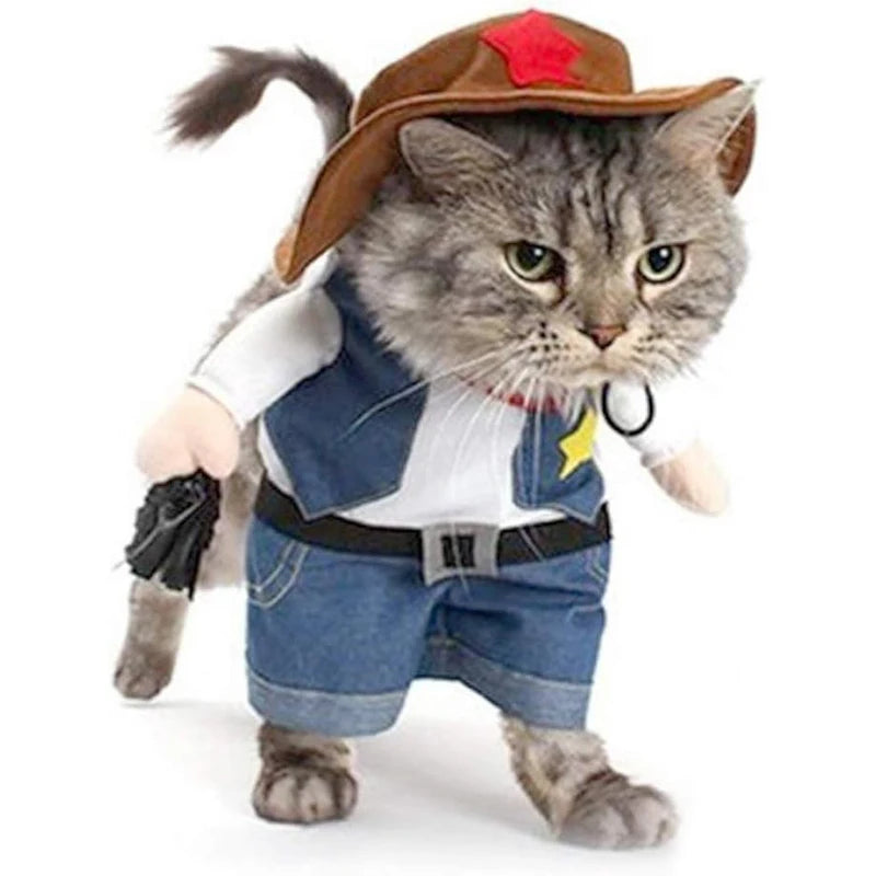 Cowboy Costume
