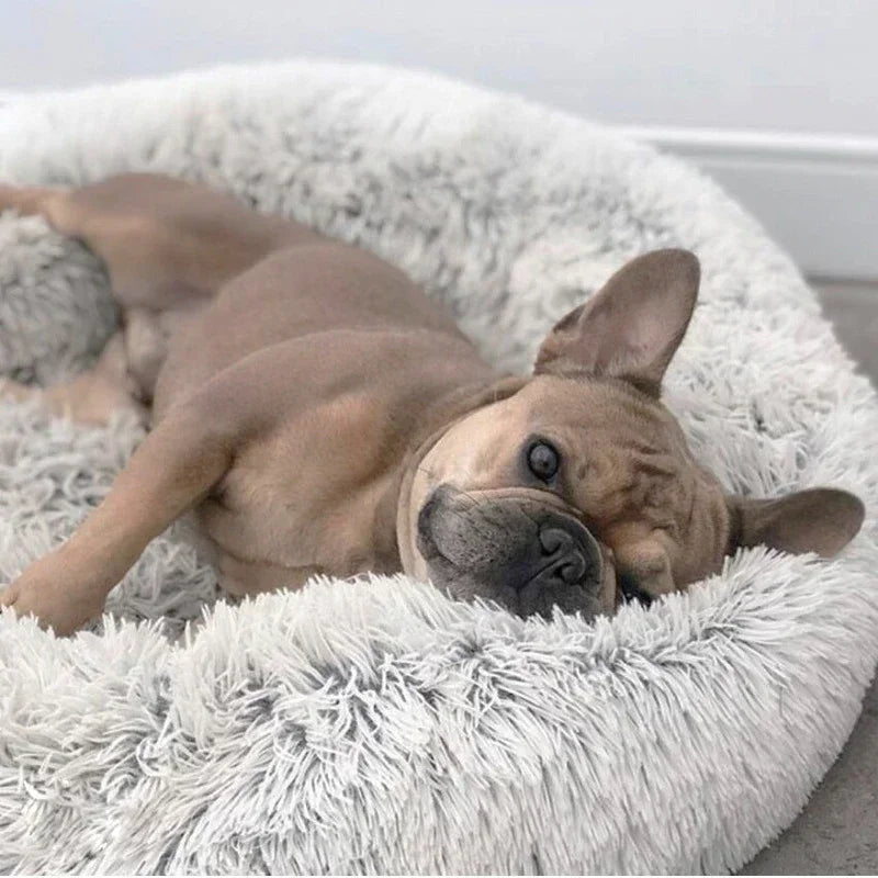 Donut Bed For Your Furries