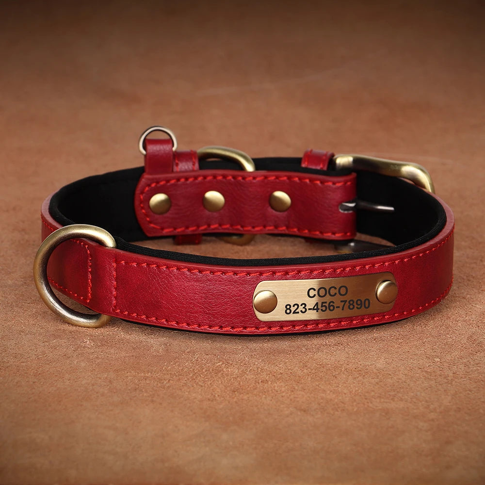 Personalized Dog Collar