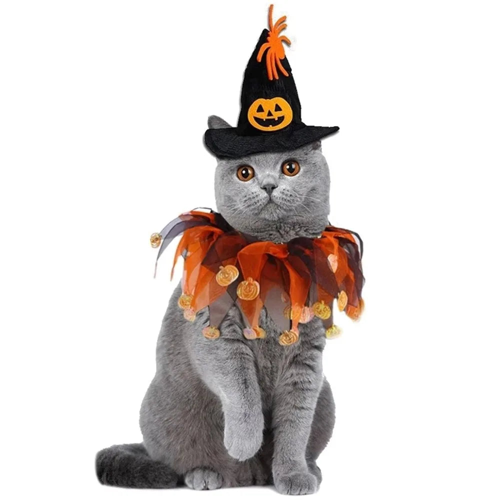 Dog Pumpkin Halloween Costume
