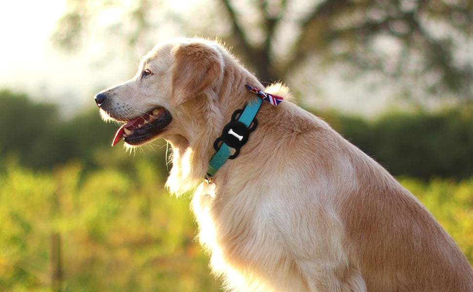 Airtag Collar for Dogs