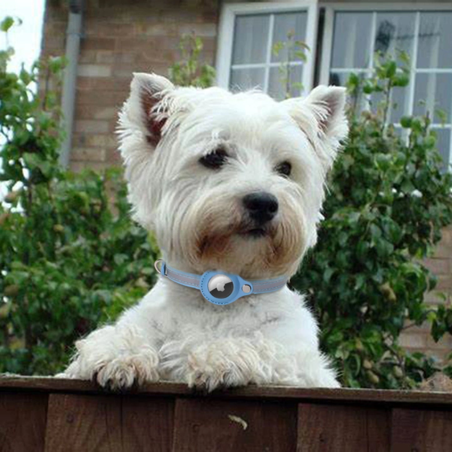 Airtag Collar for Cats