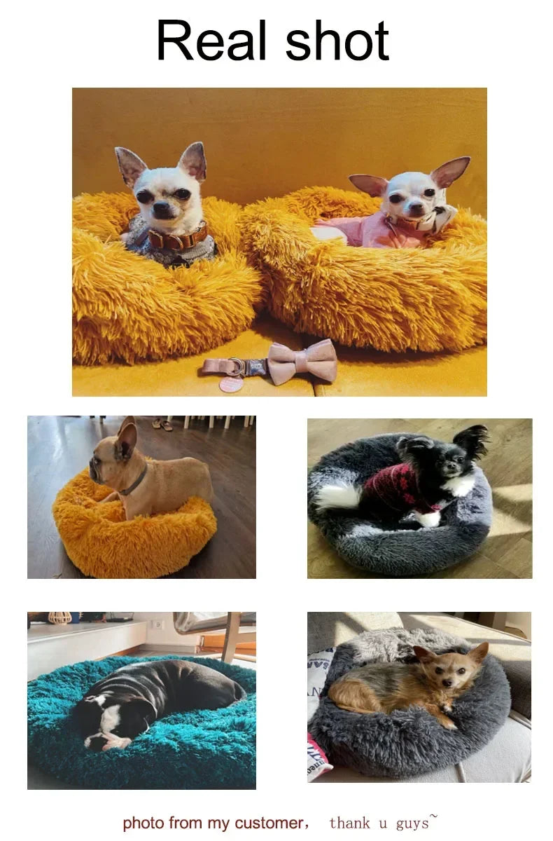 Donut Bed For Your Furries