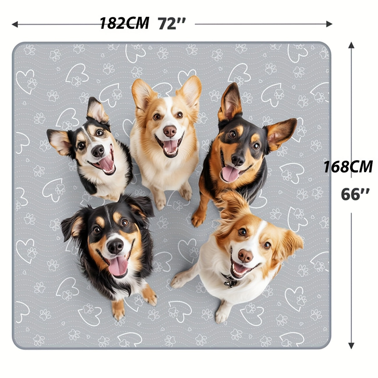 Washable Pet Mat