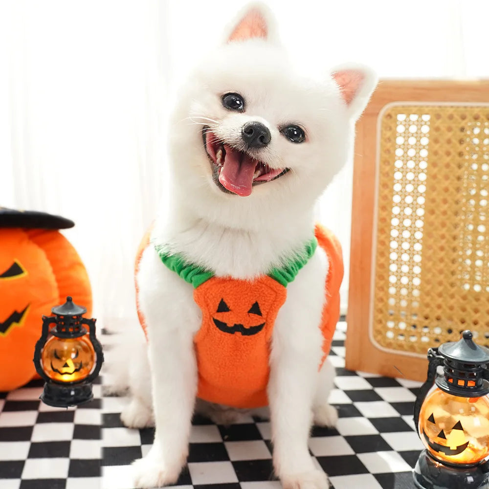 Big Pumpkin Costume