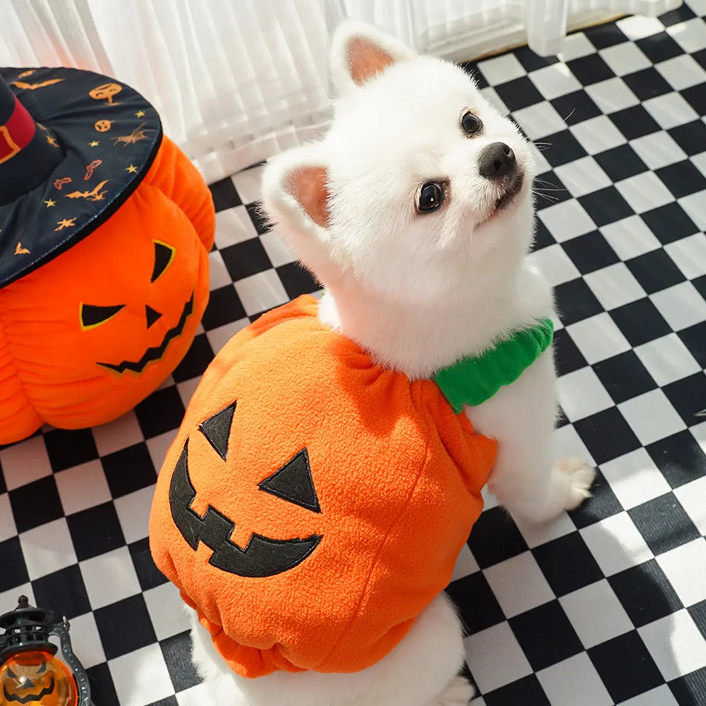 Big Pumpkin Costume