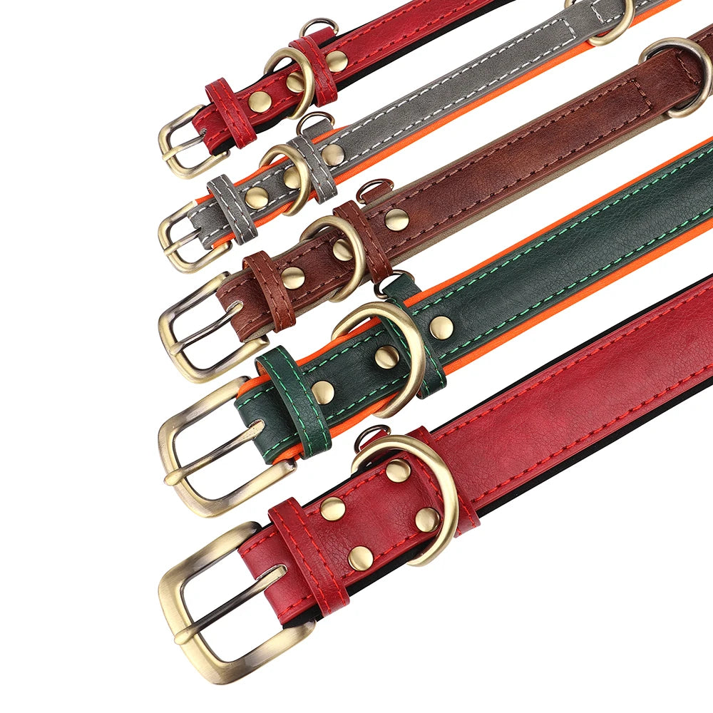 Personalized Dog Collar