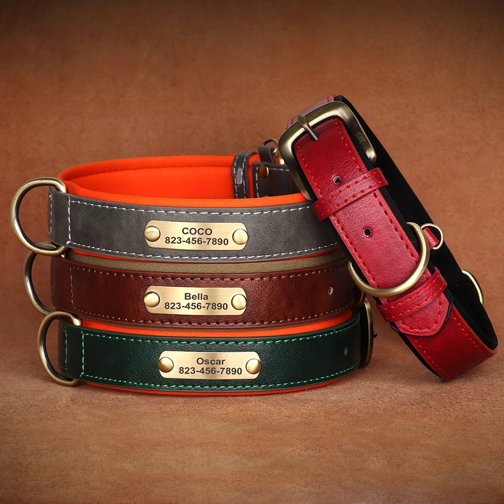 Personalized Dog Collar