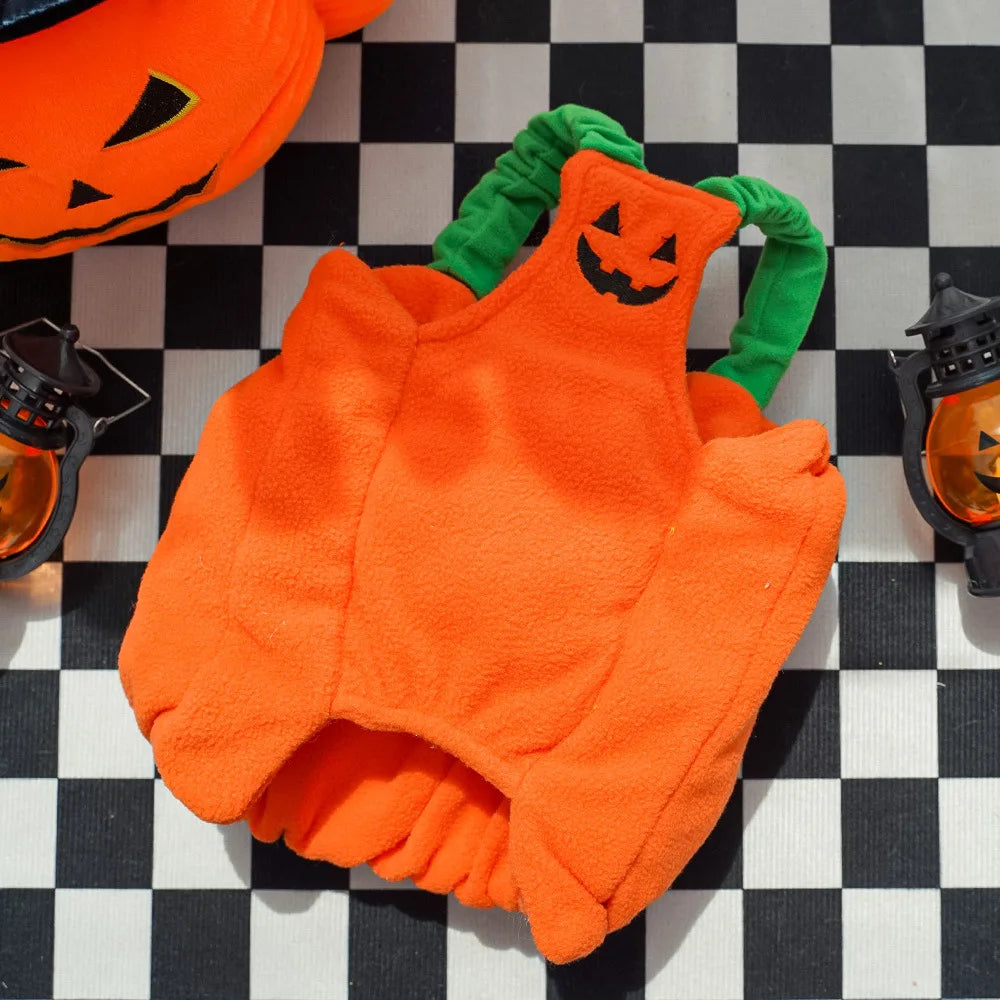 Big Pumpkin Costume