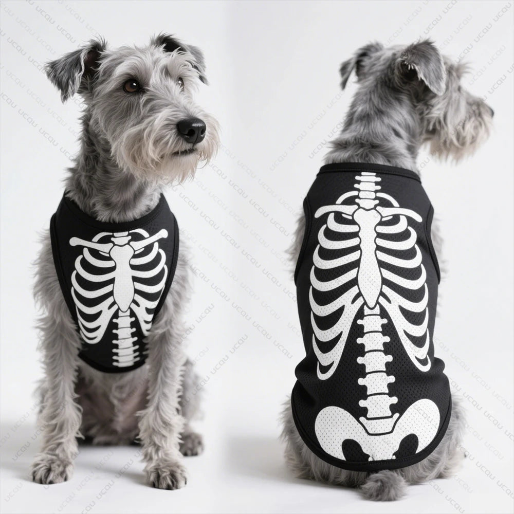 Skeleton Costume