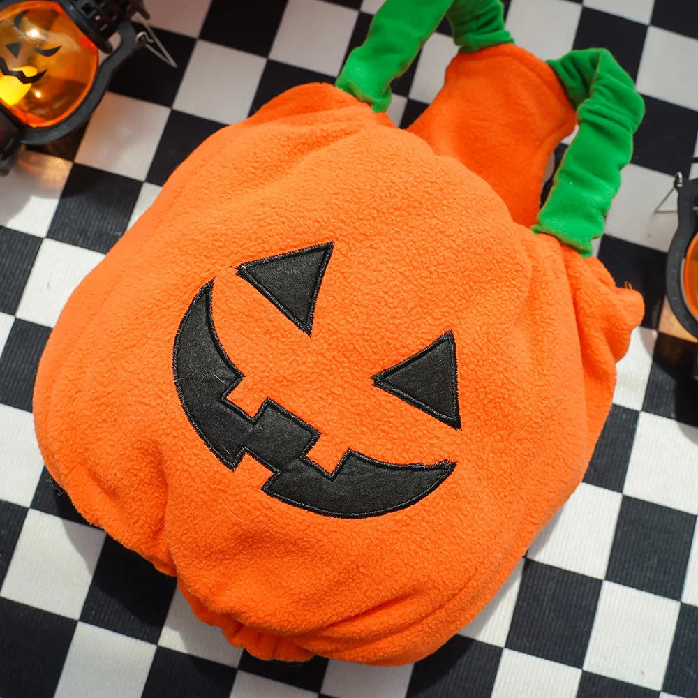 Big Pumpkin Costume