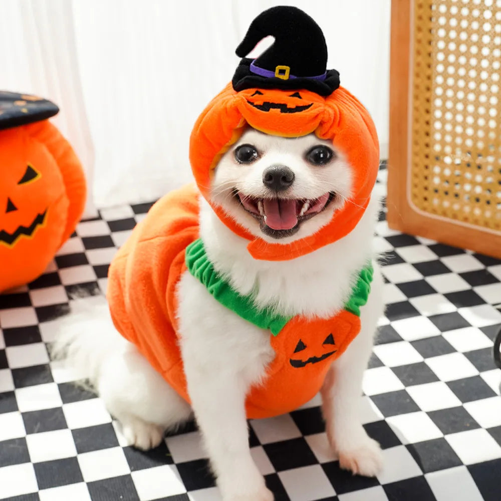 Big Pumpkin Costume