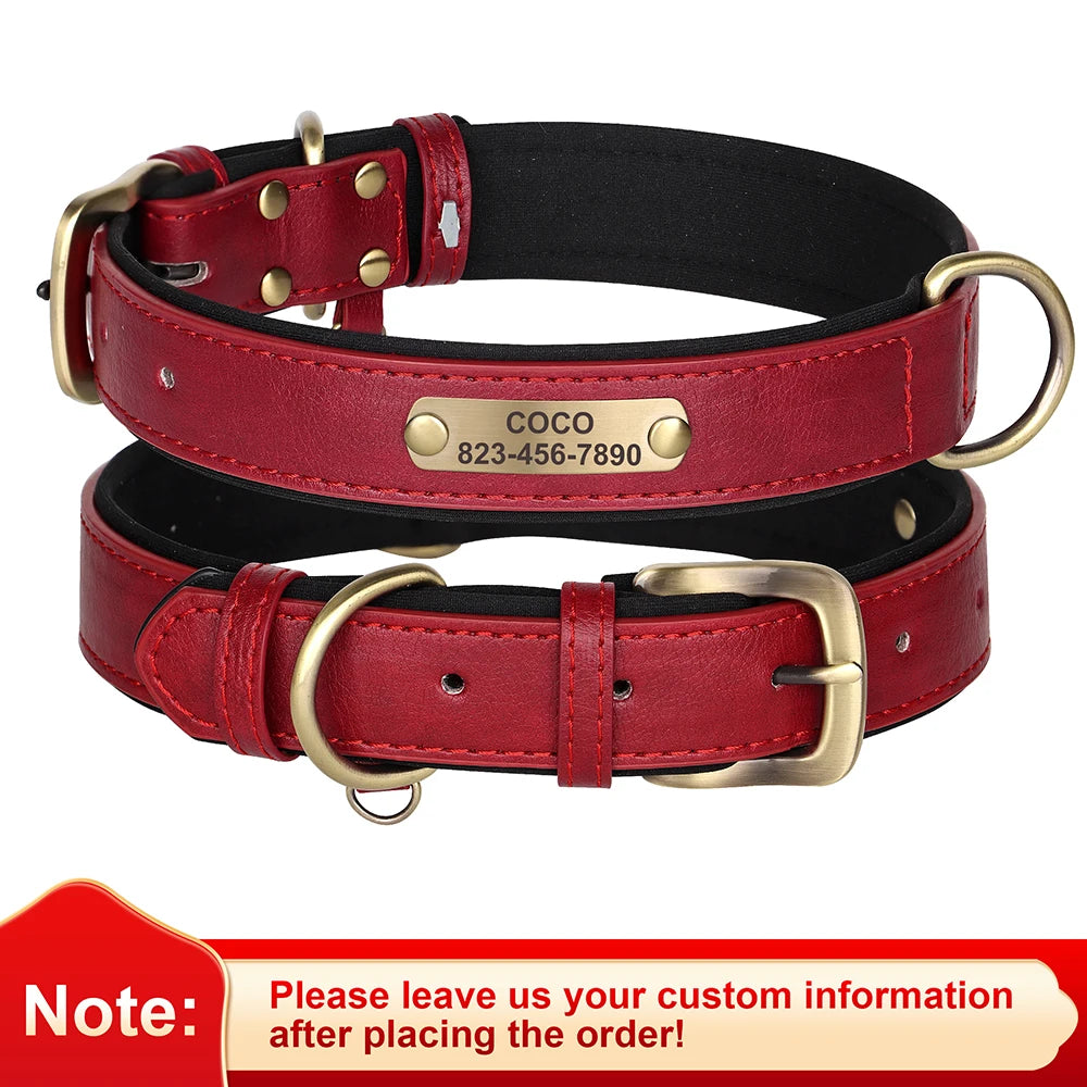 Personalized Dog Collar
