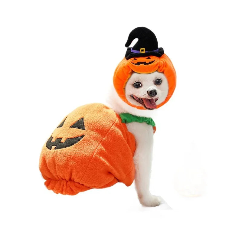 Big Pumpkin Costume
