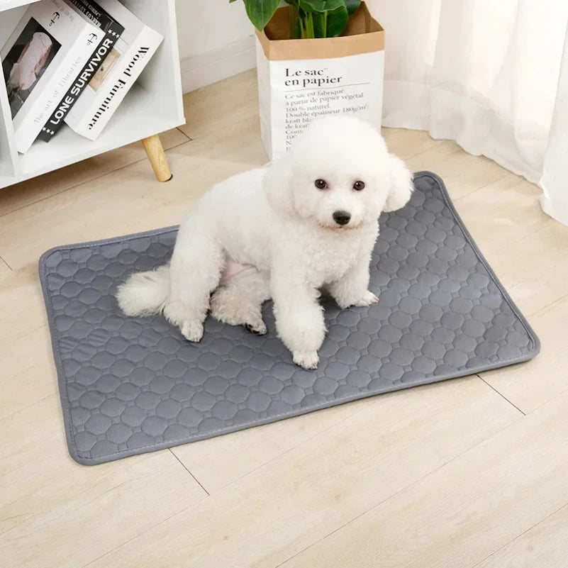 Washable Pee Pad