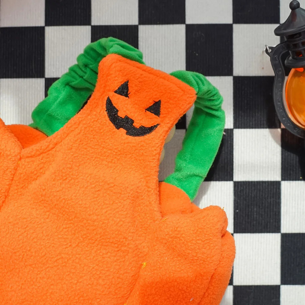 Big Pumpkin Costume