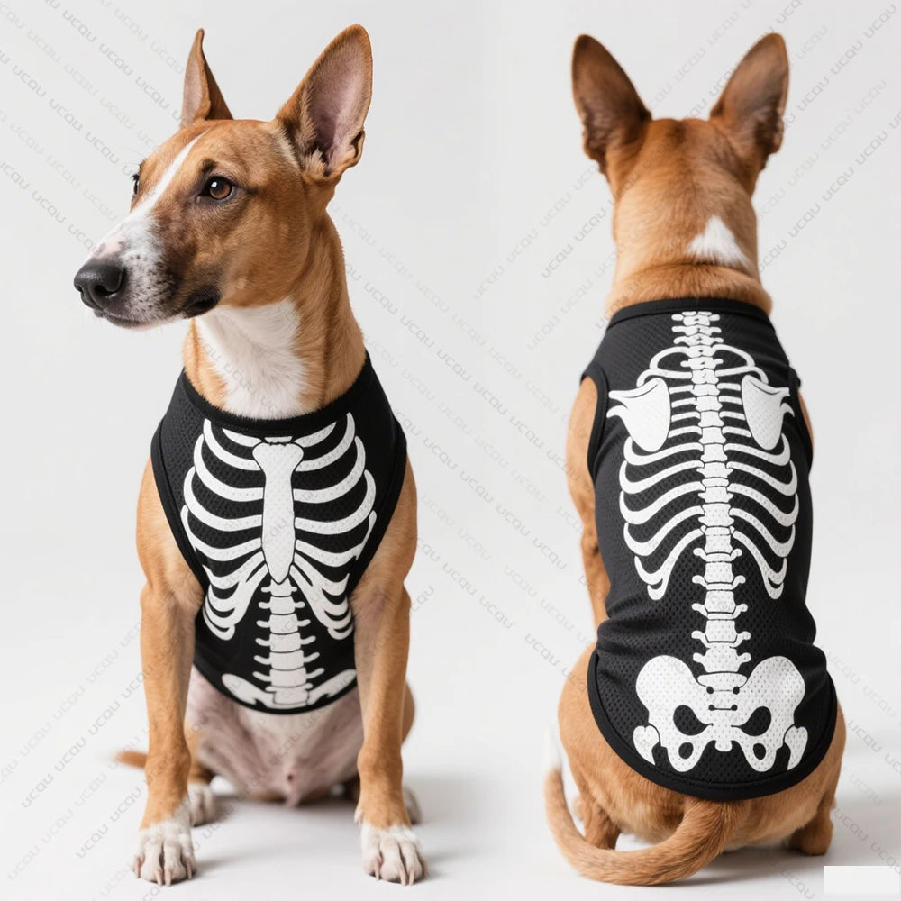 Skeleton Costume