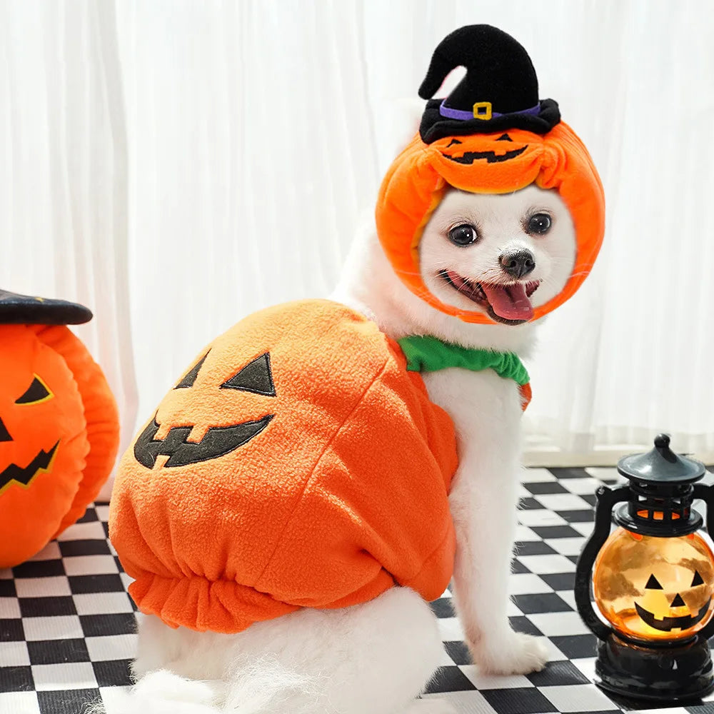 Big Pumpkin Costume