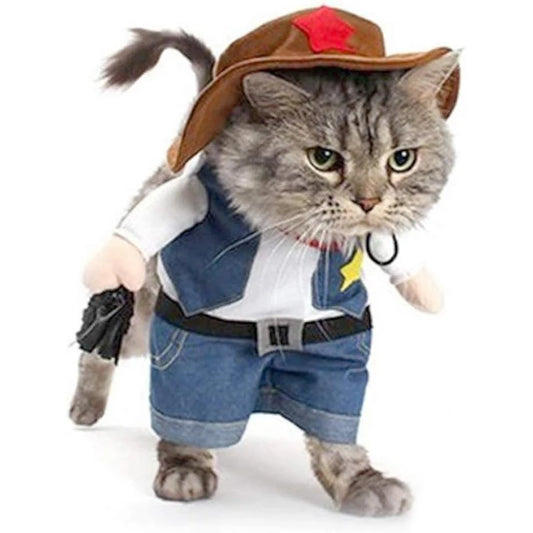 Cowboy Costume