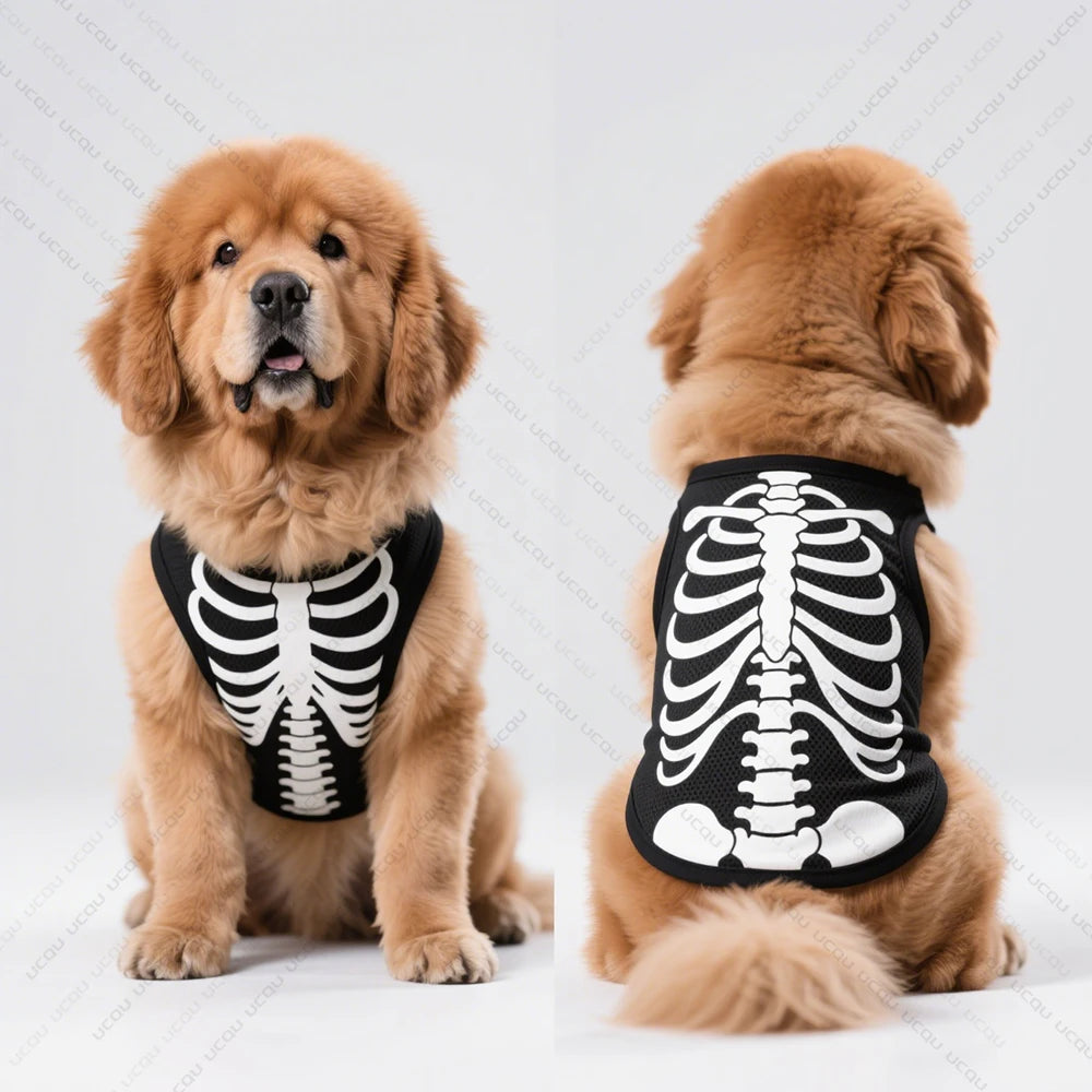 Skeleton Costume