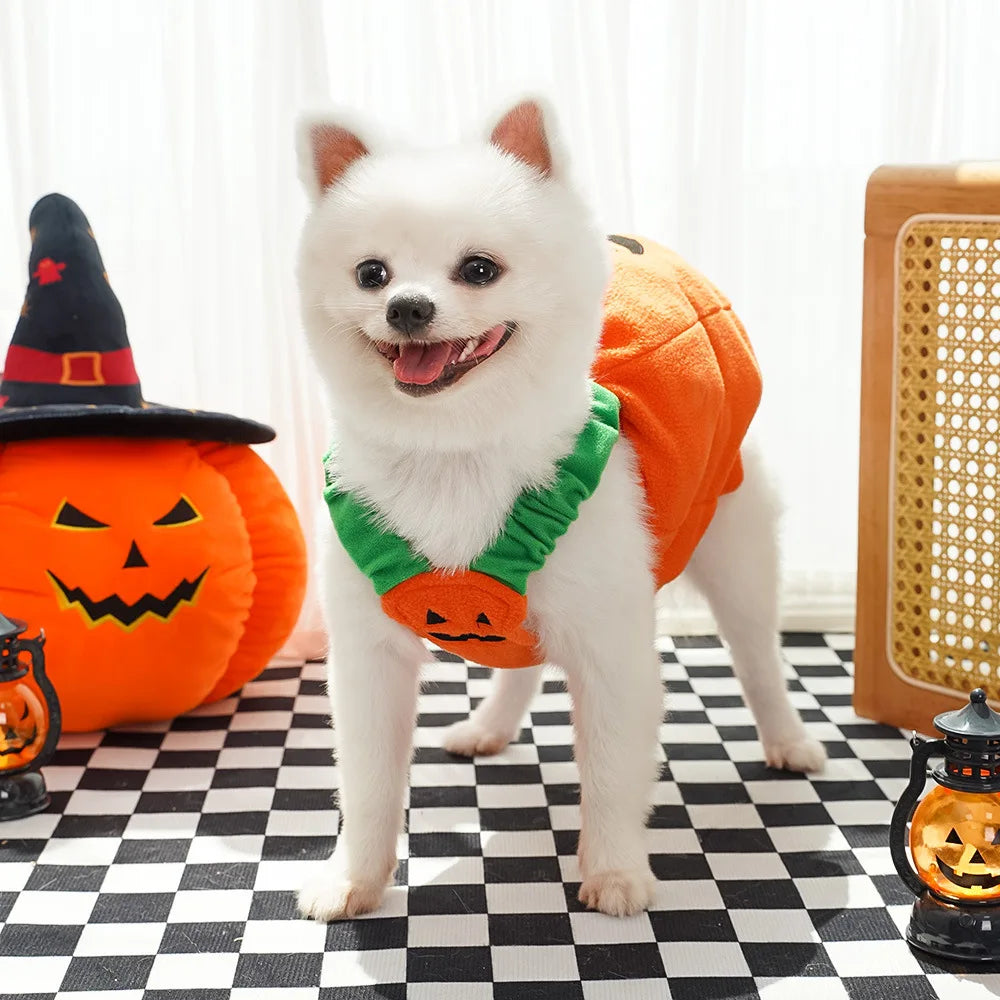 Big Pumpkin Costume