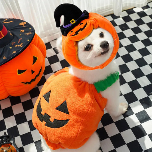 Big Pumpkin Costume