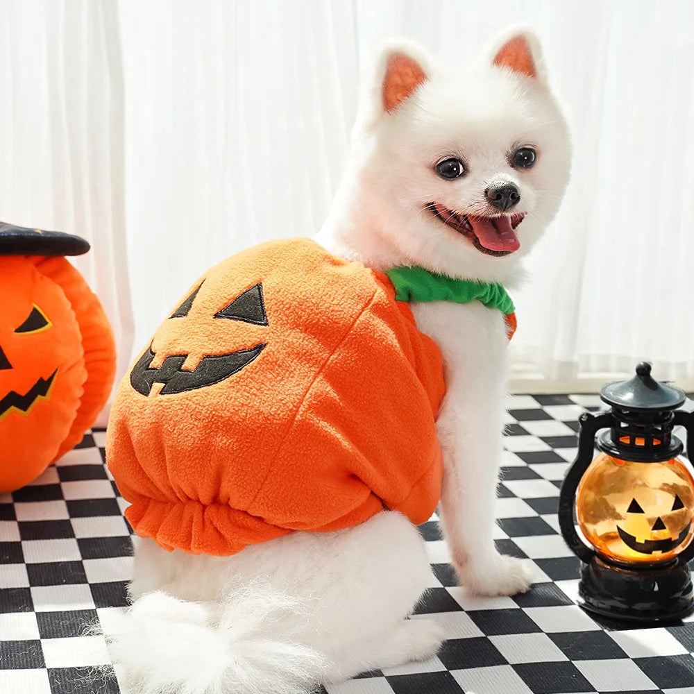 Big Pumpkin Costume