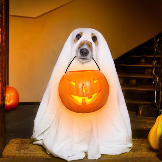 Ghost Costume
