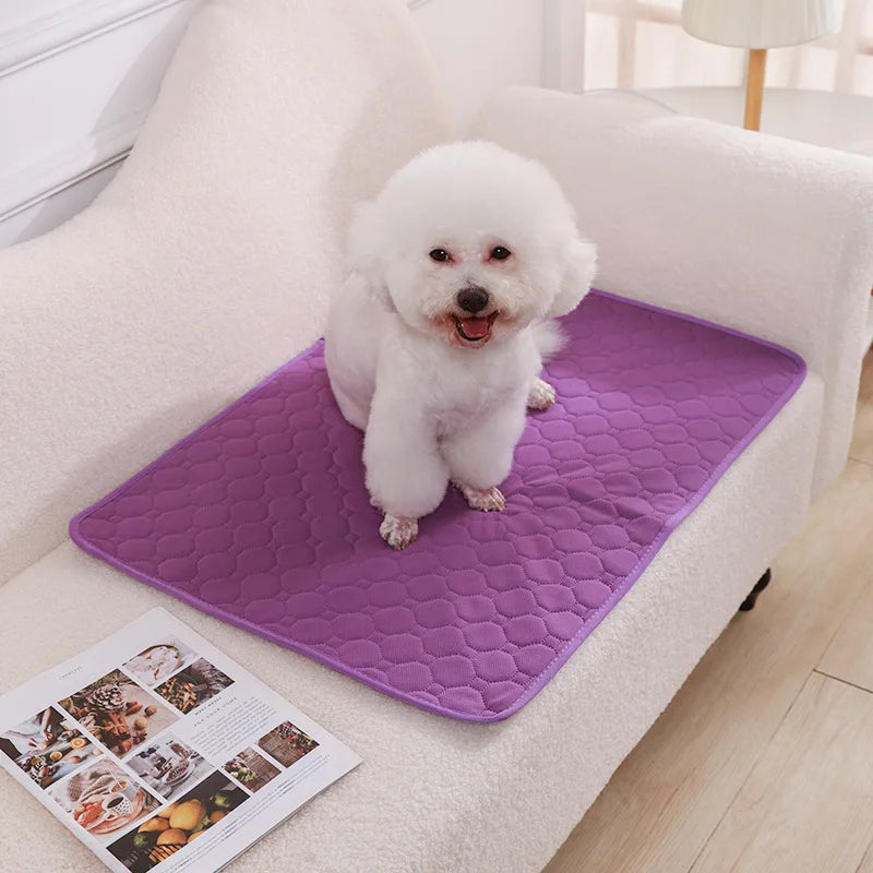 Washable Pee Pad