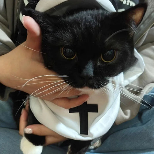 Nun Costume